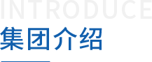 上海中城衛保安公司集團介紹